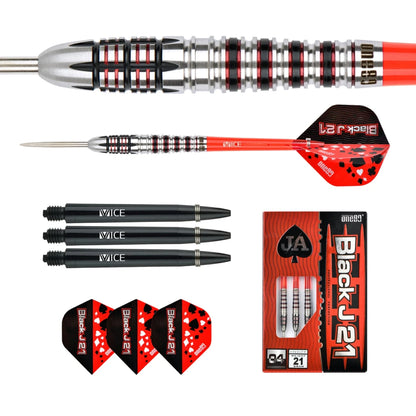 One80 Back J 21 - 04 Steeltip Dart
